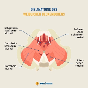 Osteopathie Beckenboden