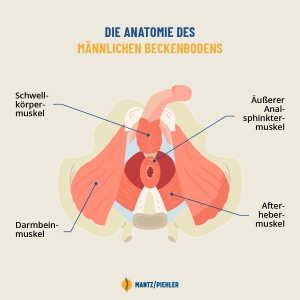 Osteopathie Beckenboden