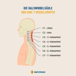 HWS-Syndrom Physiotherapie
